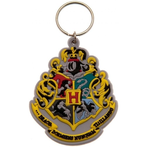 Accesorios textil Porte-clé Harry Potter TA1134 Multicolor