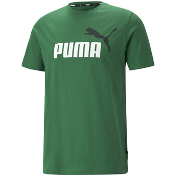 textil Hombre Tops y Camisetas Puma  Verde