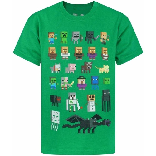 textil Niños Camisetas manga corta Minecraft NS7307 Verde