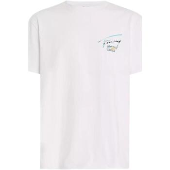 textil Hombre Camisetas manga corta Tommy Hilfiger DM0DM18283 YBR Blanco