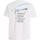 textil Hombre Camisetas manga corta Tommy Hilfiger DM0DM18283 YBR Blanco