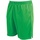 textil Shorts / Bermudas Precision Attack Verde