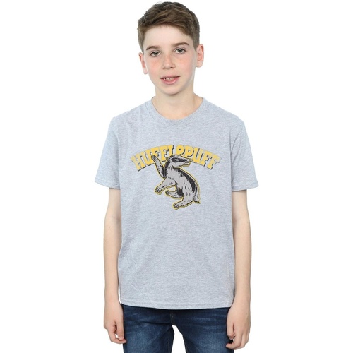 textil Niño Camisetas manga larga Harry Potter BI1084 Gris