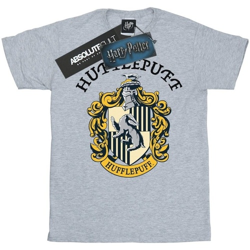 textil Hombre Camisetas manga larga Harry Potter BI1331 Gris