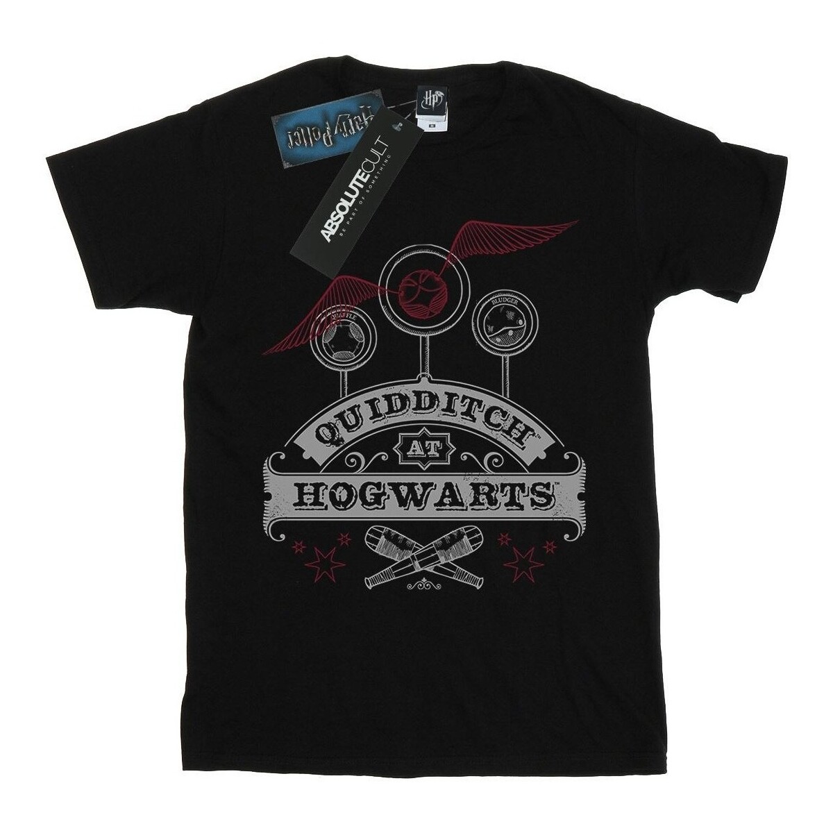 textil Niña Camisetas manga larga Harry Potter Quidditch At Hogwarts Negro