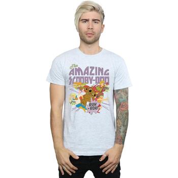 textil Hombre Camisetas manga larga Scooby Doo The Amazing Scooby Gris