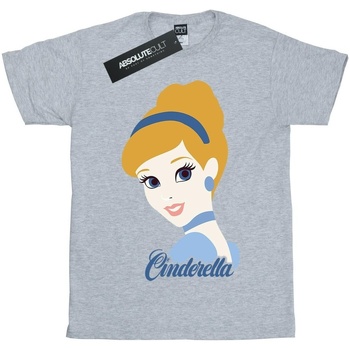 textil Niña Camisetas manga larga Cinderella BI1605 Gris