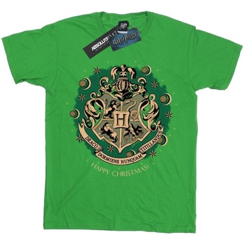 textil Niño Camisetas manga larga Harry Potter BI1681 Verde