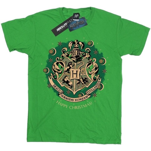 textil Niño Camisetas manga larga Harry Potter BI1681 Verde