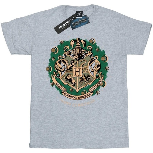 textil Niño Camisetas manga larga Harry Potter BI1681 Gris