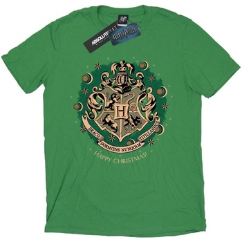textil Hombre Camisetas manga larga Harry Potter BI1711 Verde