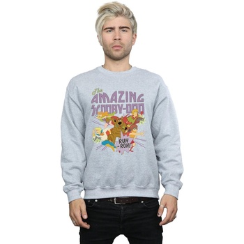 textil Hombre Sudaderas Scooby Doo The Amazing Scooby Gris