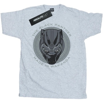 textil Hombre Camisetas manga larga Black Panther BI407 Gris