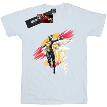 textil Hombre Camisetas manga larga Ant-Man And The Wasp BI433 Blanco