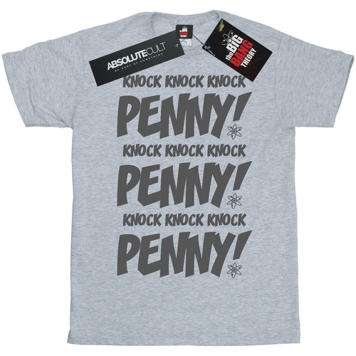 textil Mujer Camisetas manga larga The Big Bang Theory Knock Knock Penny Gris