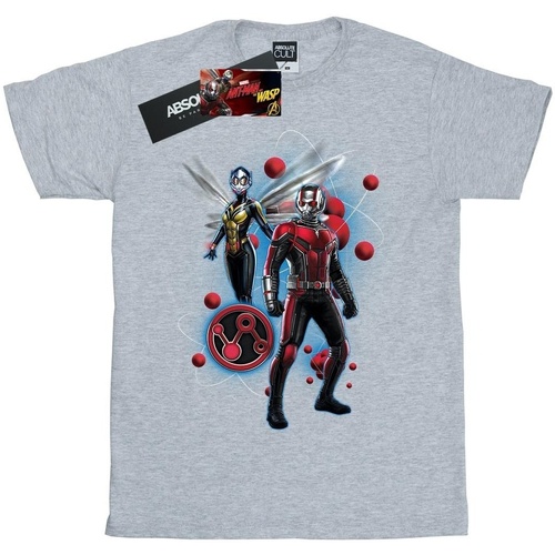textil Niña Camisetas manga larga Ant-Man And The Wasp Particle Pose Gris