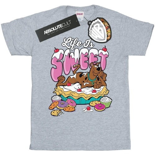 textil Niña Camisetas manga larga Scooby Doo Life Is Sweet Gris