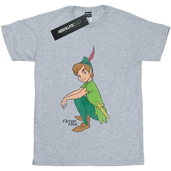 textil Niña Camisetas manga larga Peter Pan Classic Gris