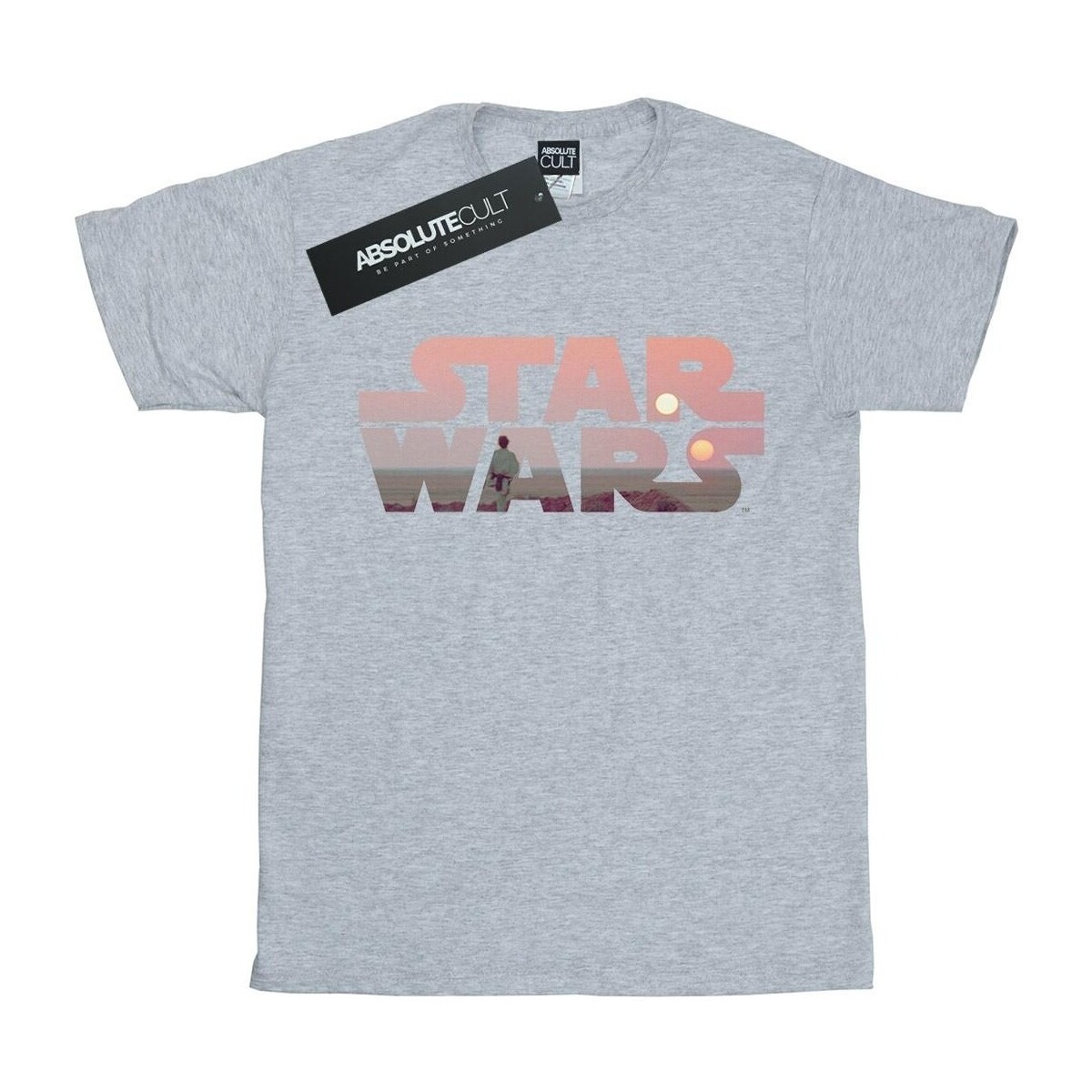 textil Hombre Camisetas manga larga Disney Tatooine Gris