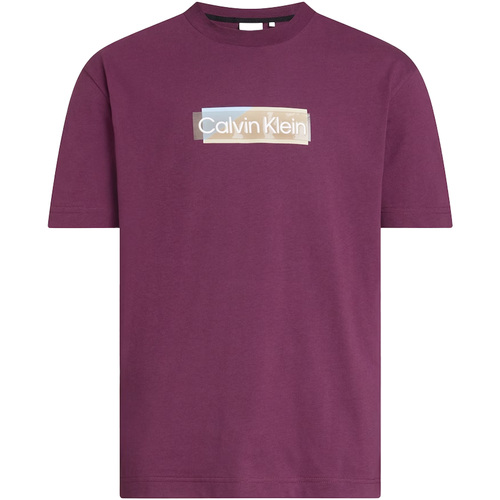 textil Hombre Tops y Camisetas Calvin Klein Jeans Layered Gel Logo T-Shirt Violeta
