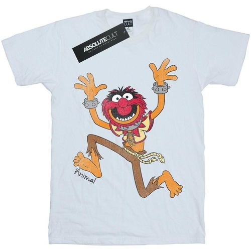 textil Niña Camisetas manga larga The Muppets Classic Blanco