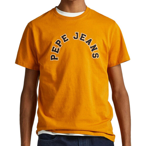 textil Hombre Tops y Camisetas Pepe jeans  Amarillo