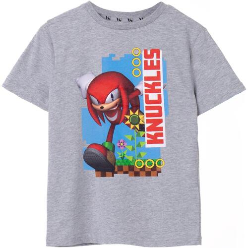 textil Niños Camisetas manga corta Sonic The Hedgehog NS7428 Gris
