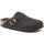 Zapatos Mujer Zuecos (Clogs) Birkenstock 1020529 Marrón