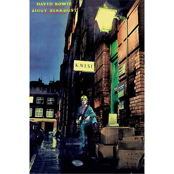 Casa Afiches / posters David Bowie TA11361 Multicolor