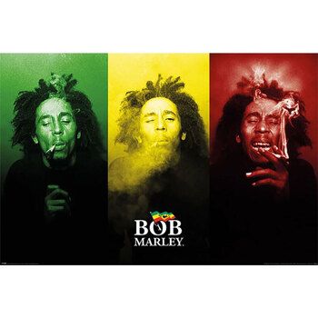 Casa Afiches / posters Bob Marley TA11363 Multicolor