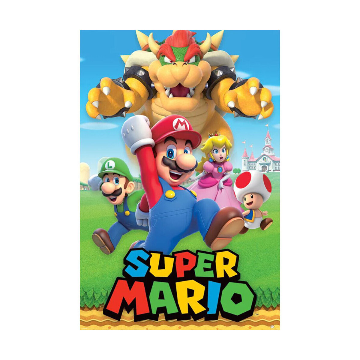 Casa Afiches / posters Super Mario Bros TA11369 Multicolor