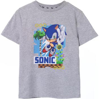 textil Niños Camisetas manga corta Sonic The Hedgehog  Gris
