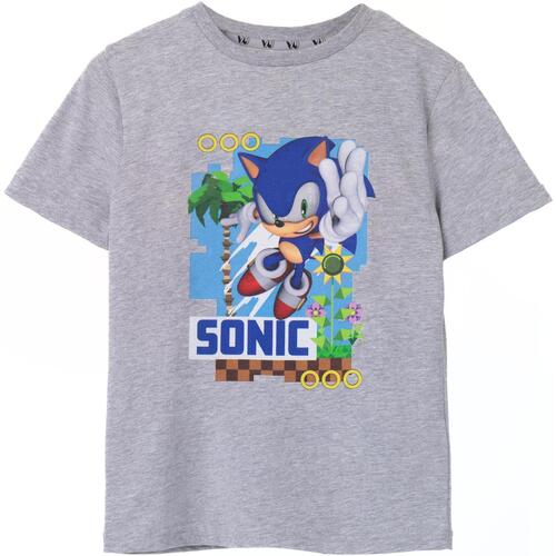 textil Niños Camisetas manga corta Sonic The Hedgehog NS7484 Gris