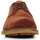 Zapatos Hombre Derbie & Richelieu Clarks Foxwell Hall Marrón