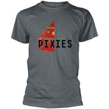 textil Camisetas manga larga Pixies Head Carrier Gris