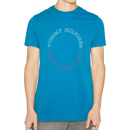 textil Hombre Tops y Camisetas Tommy Hilfiger  Azul