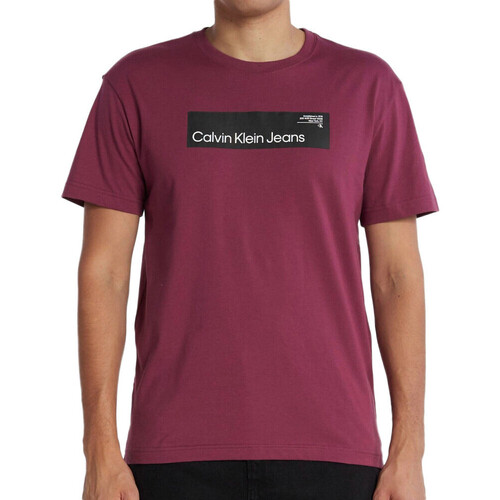 textil Hombre Tops y Camisetas Calvin Klein Jeans  Violeta