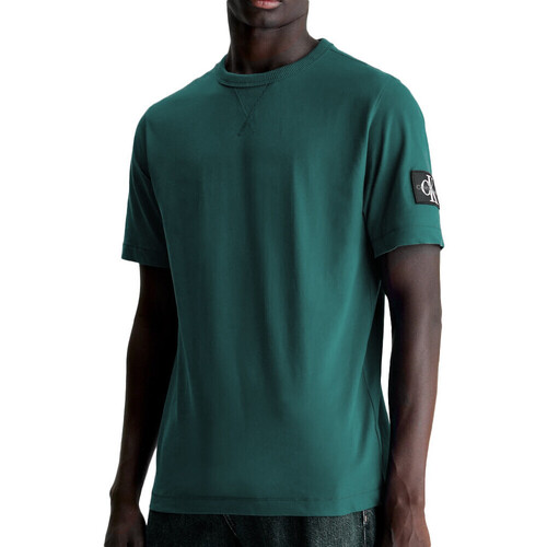textil Hombre Camisetas manga corta Calvin Klein Jeans  Verde