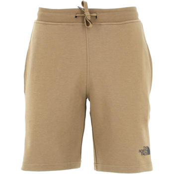 textil Hombre Shorts / Bermudas The North Face NF0A3S4F37U1 Verde