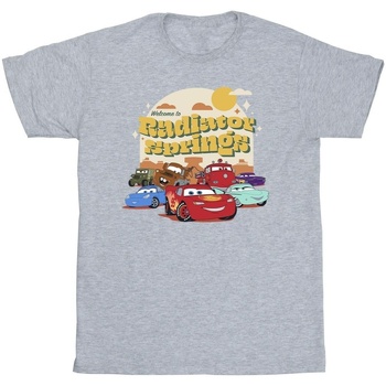 textil Hombre Camisetas manga larga Disney Cars Radiator Springs Group Gris