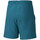 textil Hombre Shorts / Bermudas Mizuno  Azul