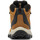 Zapatos Hombre Senderismo Columbia NEWTON RIDGE PLUS II WATERPROOF Marrón