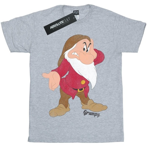 textil Niña Camisetas manga larga Disney Snow White And The Seven Dwarves Classic Grumpy Gris