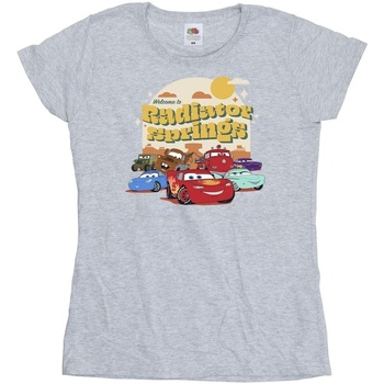 textil Mujer Camisetas manga larga Disney Cars Radiator Springs Group Gris