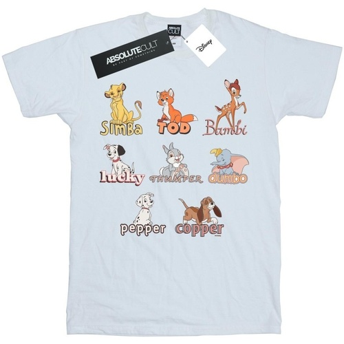 textil Niña Camisetas manga larga Disney Little Friends Animals Blanco
