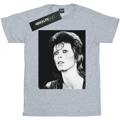 textil Niño Camisetas manga corta David Bowie Ziggy Looking Gris