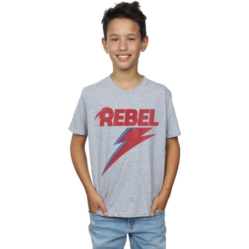 textil Niño Camisetas manga corta David Bowie Distressed Rebel Gris