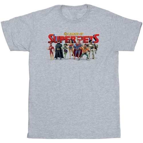 textil Niño Camisetas manga corta Dc Comics DC League Of Super-Pets Group Logo Gris