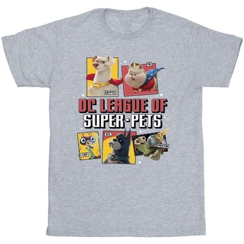 textil Niño Camisetas manga corta Dc Comics DC League Of Super-Pets Profile Gris