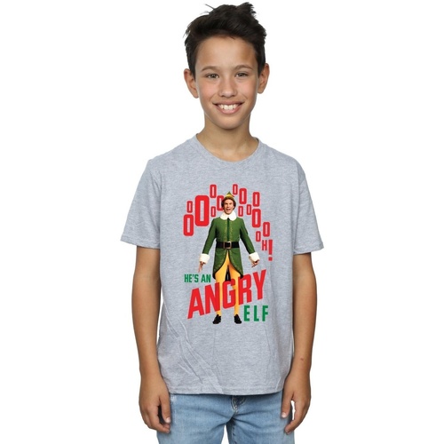 textil Niño Camisetas manga corta Elf Angry Gris